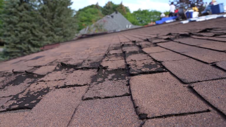 Cold Roofs in Palmyra, MO